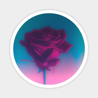 Shimmering rose Magnet